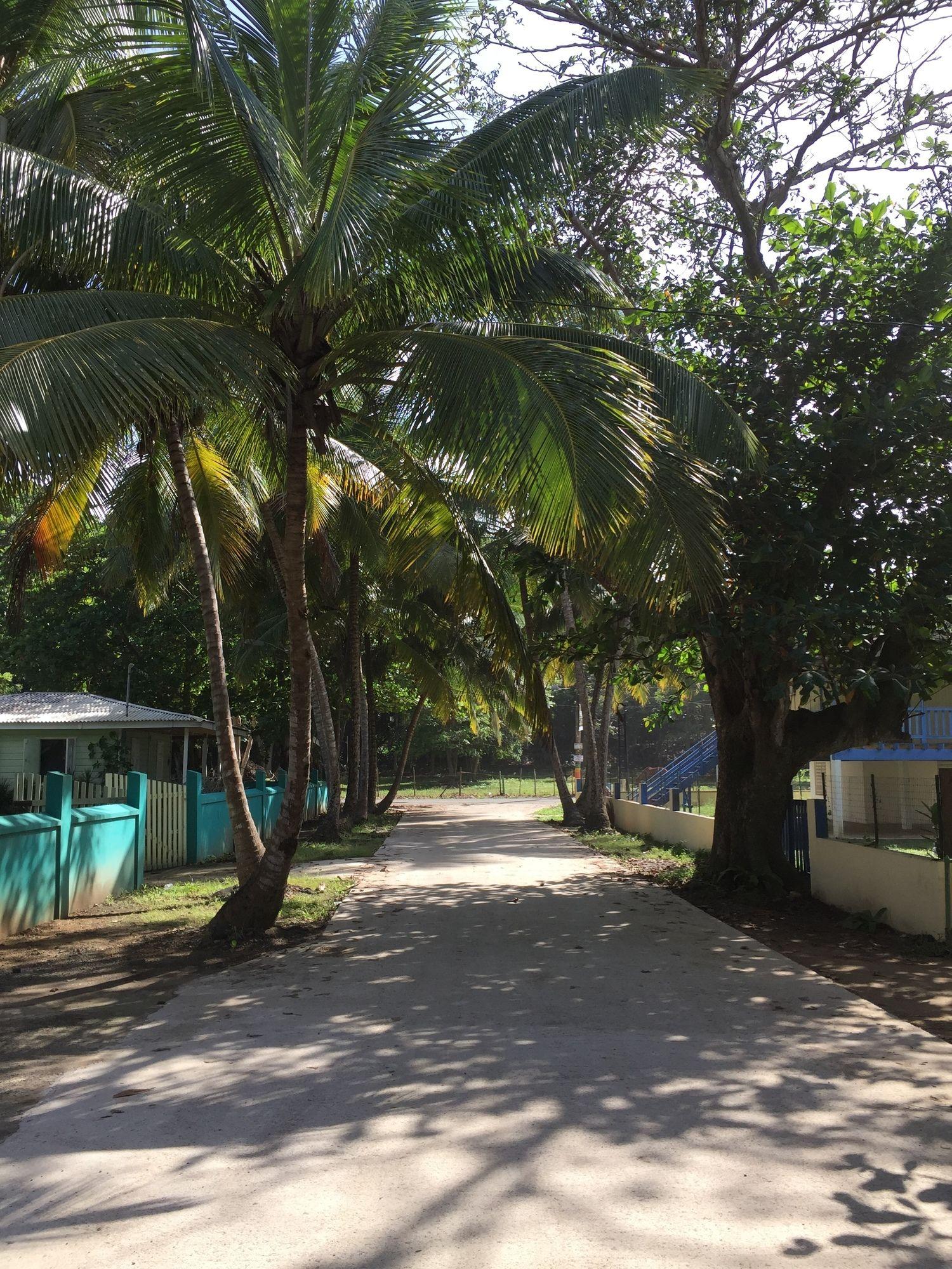 Casa Islena Hotel Rincon Exterior photo